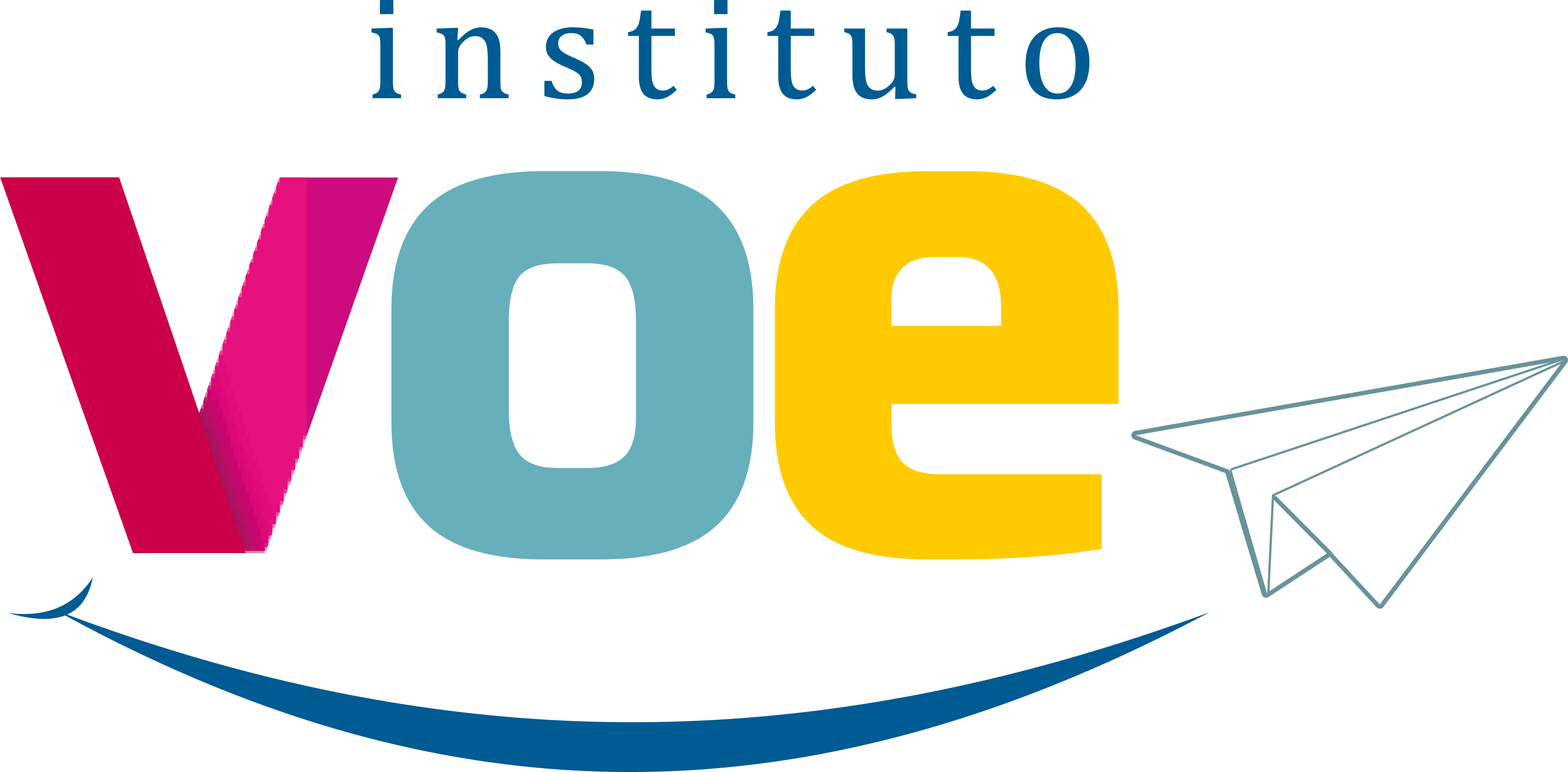Instituto Voe